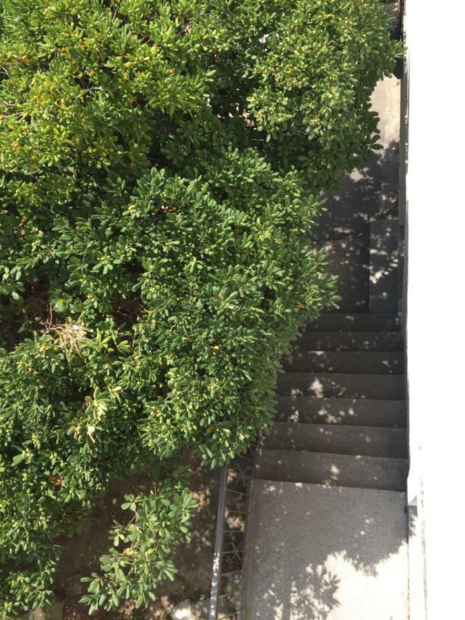 Apartament Zadar-city