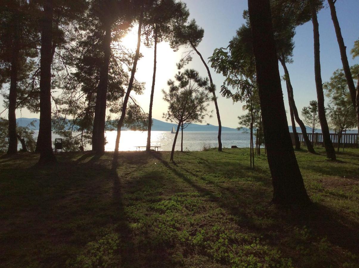 Zadar-city *